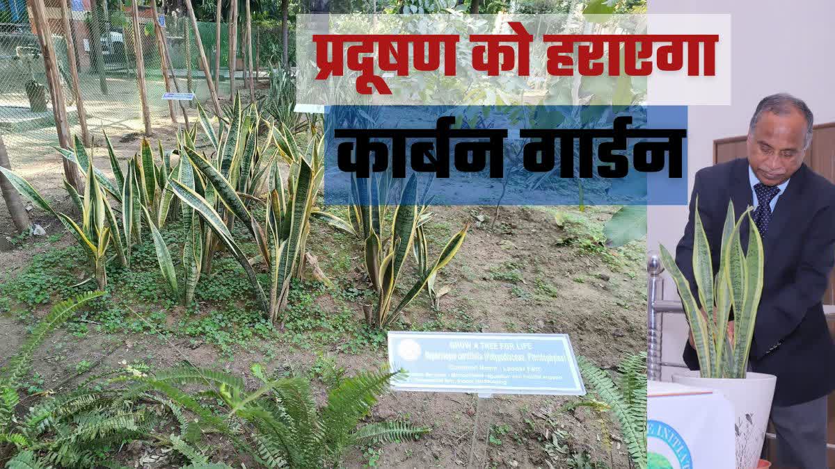 दिल्ली यूनिवर्सिटी की ओर से वायु प्रदूषण को कम करने की कारगर पहल
