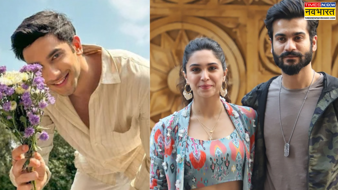 शरवरी वाघ-सनी कौशल का हुआ ब्रेकअप? क्यूट एक्टर से हुआ प्यार