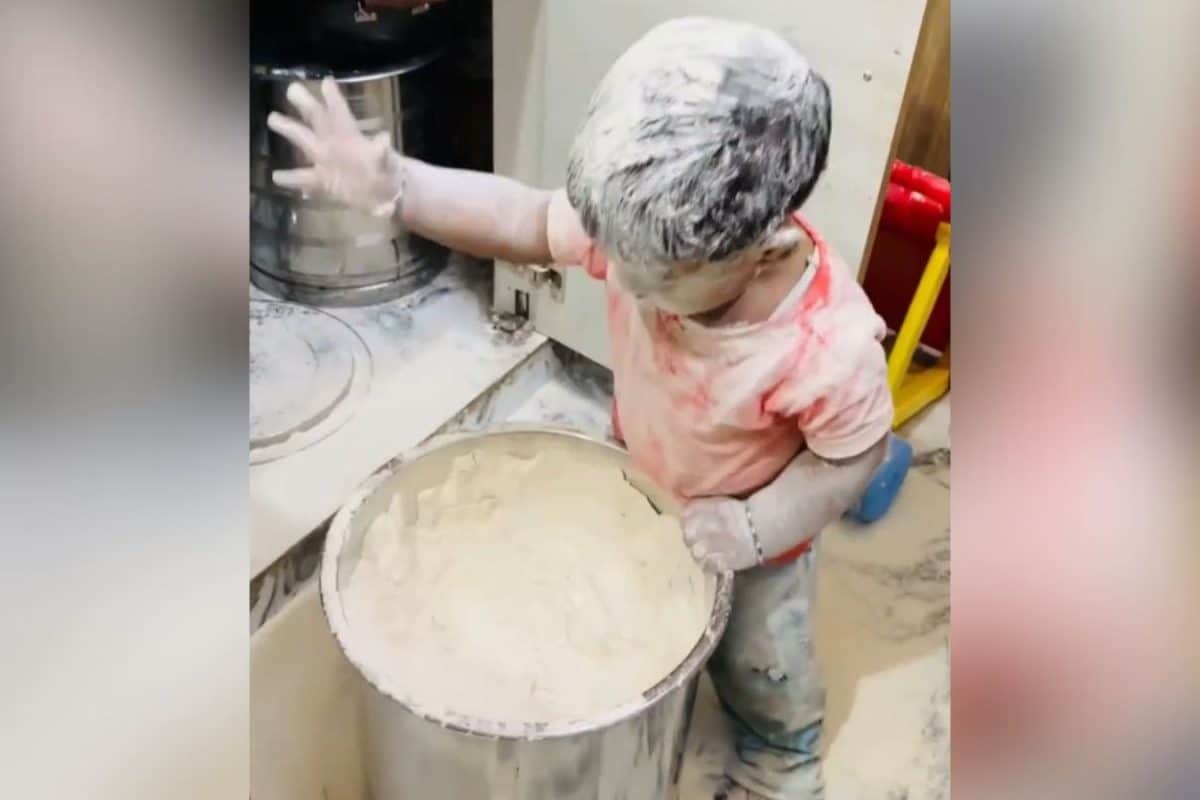 खुराफाती बच्चे ने किया नाक में दम, खोला आटे का डिब्बा, फिर जो किया, देखकर लोग बोले- 'होली खेल ली!'