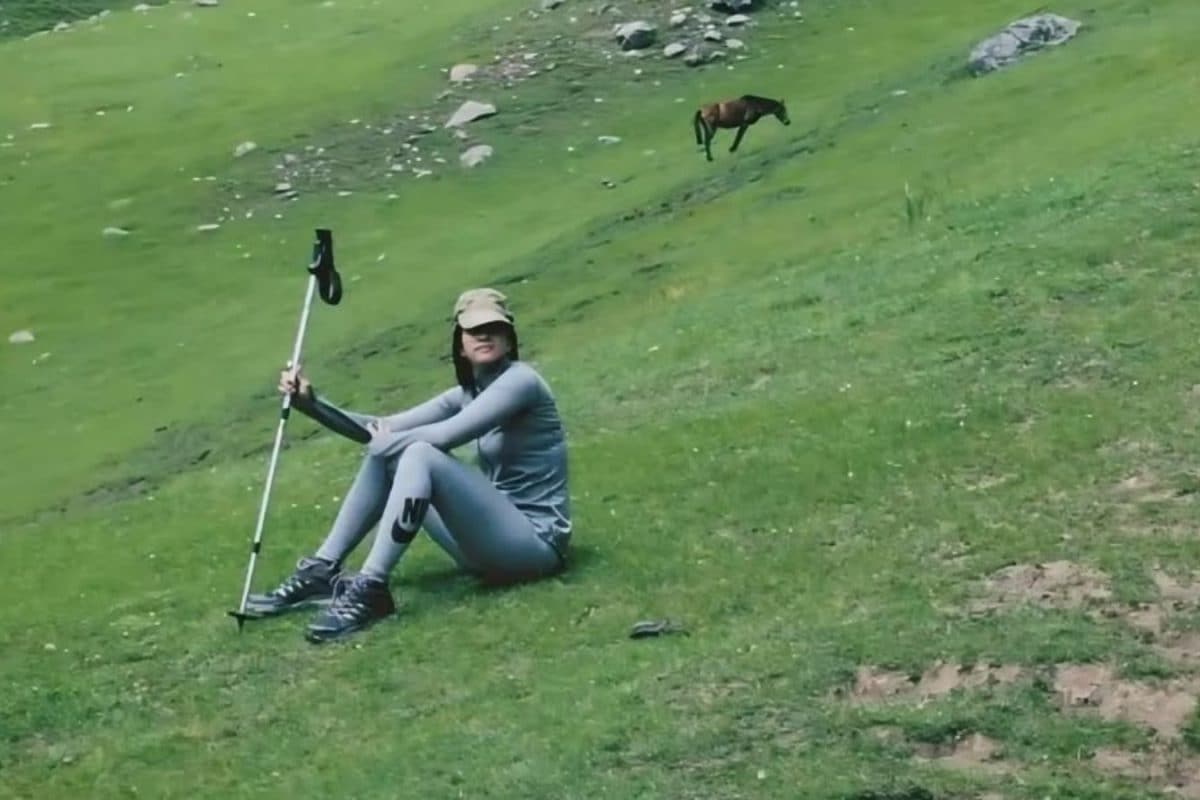 कौन हैं अल्लू अर्जुन की होने वाली भाभी नयनिका रेड्डी? जिसके संग सात फेरे लेंगे अल्लू सिरीश, शुरू हुए फंक्शन्स