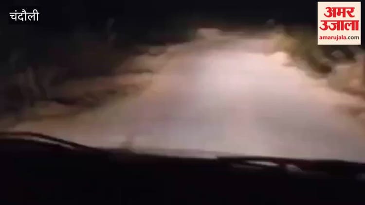 अतरवा गांव में तेंदुए की दहशत, वीडियो वायरल होने से ग्रामीणों में भय