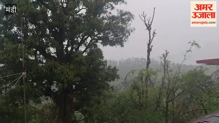 Mandi: लगातार बारिश से लडभड़ोल में लौटी ठंड, गंदम की फसल को नुकसान