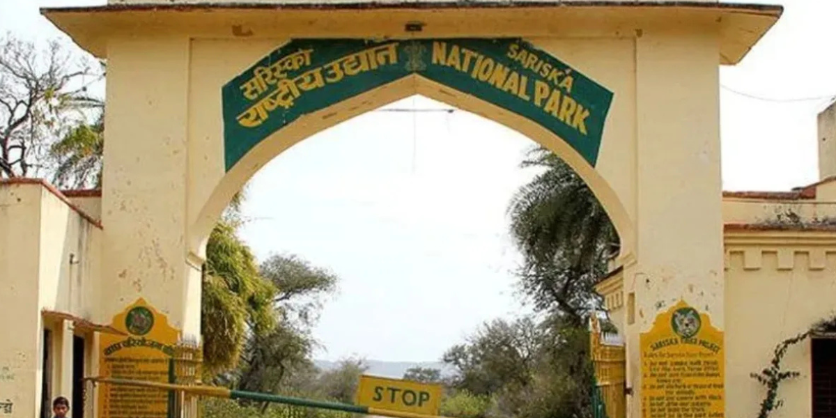 सरिस्का में मीडिया कार्यशाला और सफारी का आयोजन : टाइगर रिजर्व की चुनौतियों पर होगी चर्चा, मीडिया को प्रबंधन और वन्यजीव संरक्षण की गतिविधियों से रूबरू कराने की पहल