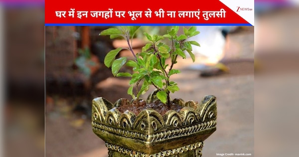 Tulsi Tips: घर की इस दिशा में भूलकर भी न रखें तुलसी, वास्तु दोष बन सकता है कंगाली का कारण; जानें 5 जरूरी नियम