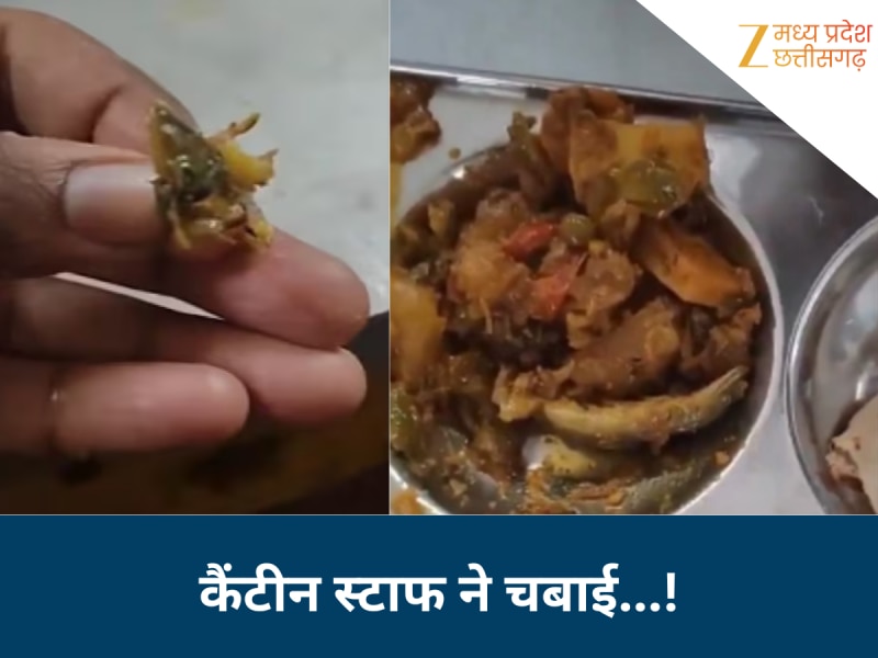 विश्वविद्यालय की कैंटीन के खाने में मिली मरी हुई छिपकली, शिकायत करने पर स्टाफ ने एक झटके में चबा लिया 'टुकड़ा'