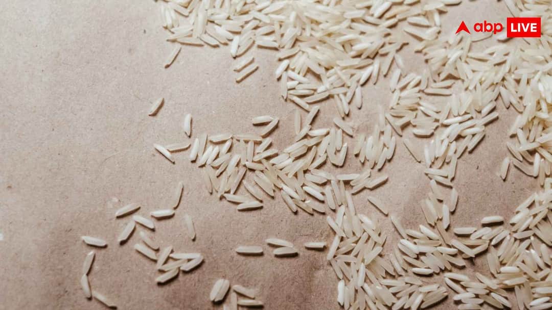 लो जी... अब लैब में भी बनने लगा चावल, नॉर्मल राइस से कितना अलग; क्या यह हेल्दी है?