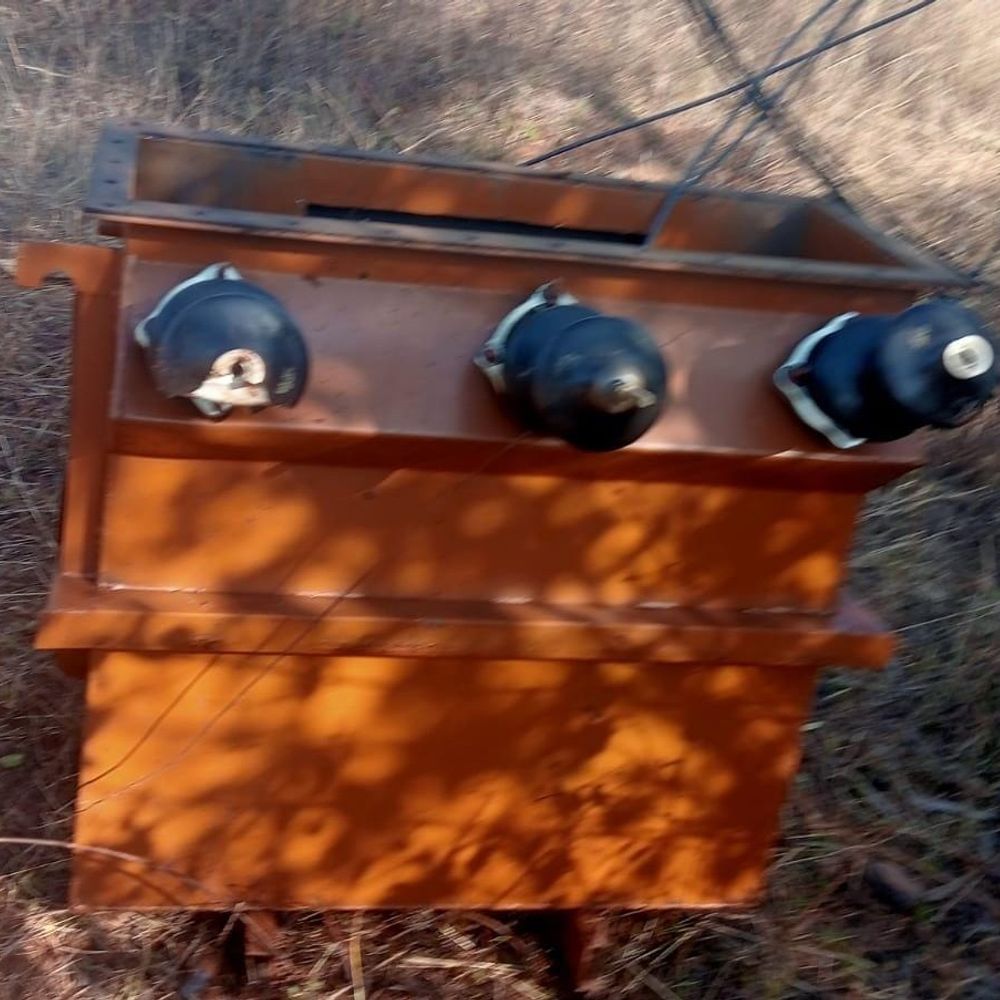 उमरिया में बिजली खंभों और ट्रांसफार्मर का सामान चोरी:ग्रामीणों ने 3 आरोपियों को रंगे हाथ पकड़ा; एक फरार, पुलिस कर रही तलाश