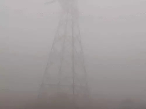 अलवर में मौसम की मार: बारिश-ओलावृष्टि के बाद घना कोहरा, विजिबिलिटी 30 मीटर तक घटी