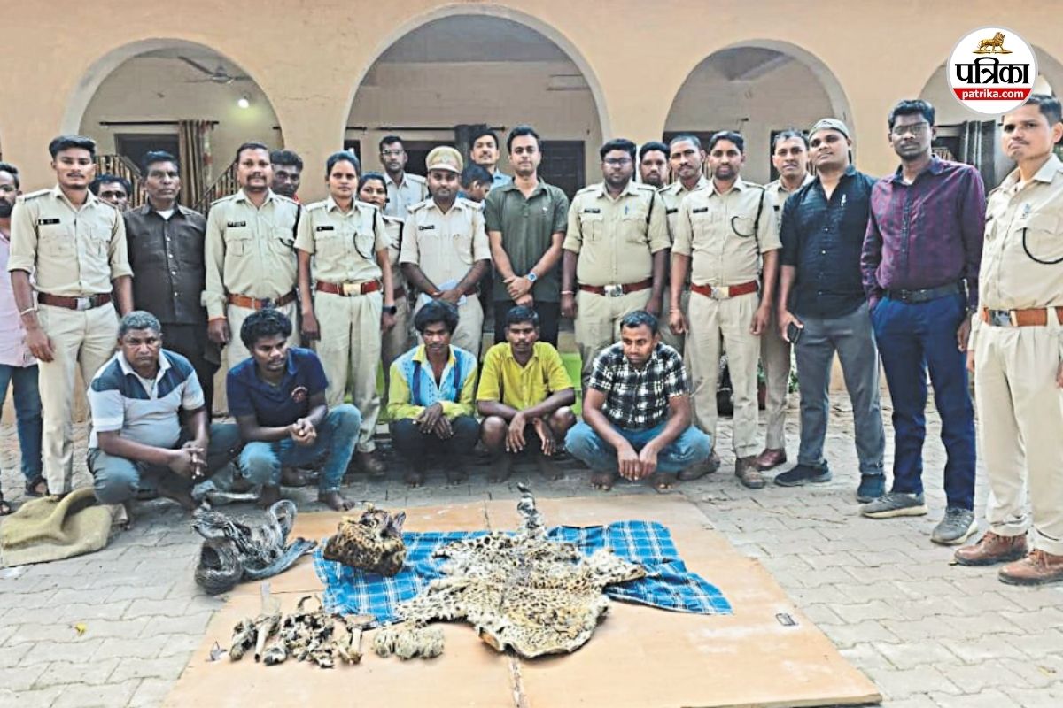 CG Crime News: तांत्रिक क्रियाओं के नाम पर तेंदुए का शिकार! 2 खाल, हड्डियां-नाखून बरामद... 5 आरोपी भी गिरफ्तार