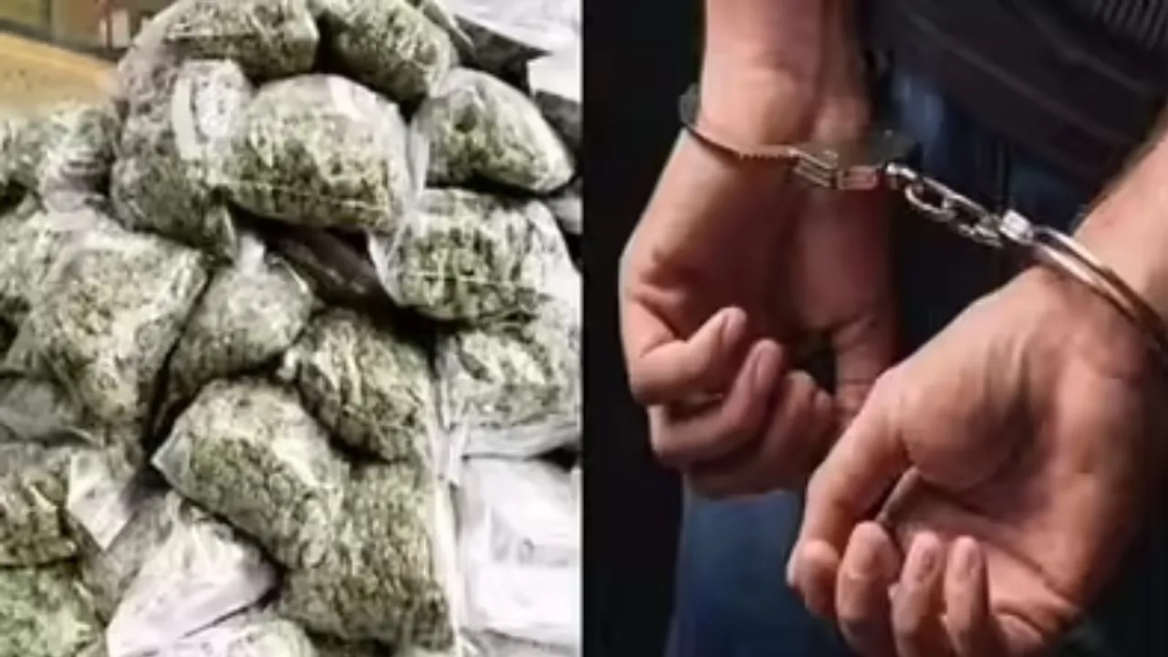 नवी मुंबई: ड्रग तस्करों का नया पैंतरा! नाबालिगों के कंधे पर बंदूक रख कर रहे तस्करी, 12 लाख का गांजा बरामद