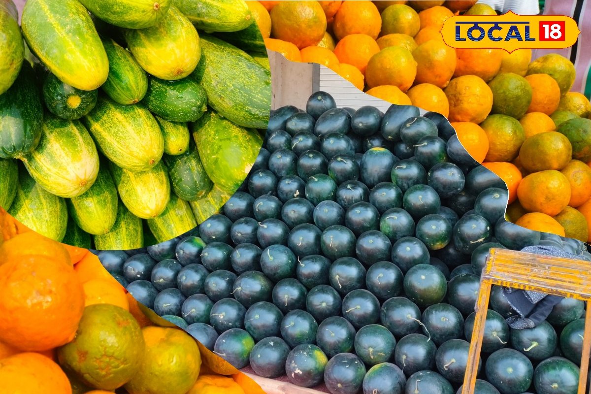 गर्मी में बदले डाइट प्लान, इन 5 फलों को करें शामिल, कई बीमारियों से मिलेगी मुक्ति! एक्सपर्ट से जानें