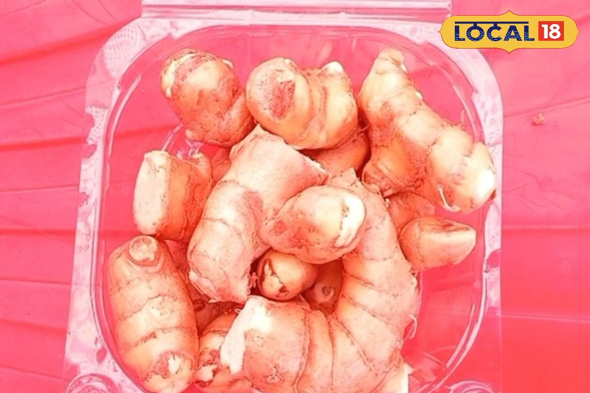 Special Ginger: चाय में मिलेगा आम का स्वाद, कमाल है अदरक की ये वैरायटी, जिसने मुरादाबाद में मचाई है धूम