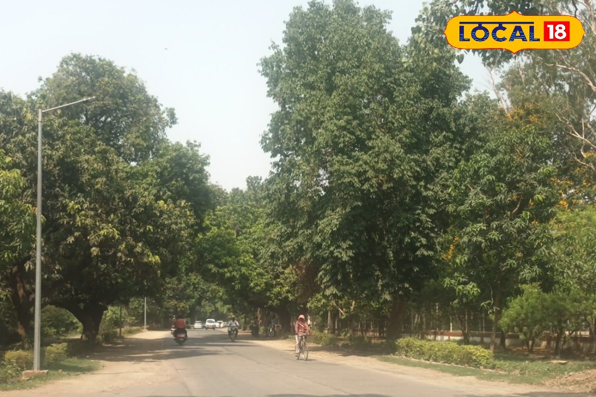 UP Weather : झांसी में 36 डिग्री के पार पहुंचा तापमान, यूपी में अब गर्मी मचाने वाली है तांडव! जानें आज कैसा रहेगा मौसम