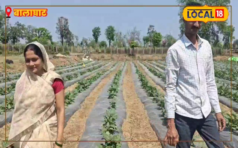 ये है असली टीमवर्क! पति ने खेला दांव तो पत्नी ने भी दिया साथ, अब 1एकड़ से कमा रहे डेढ़ लाख रुपये