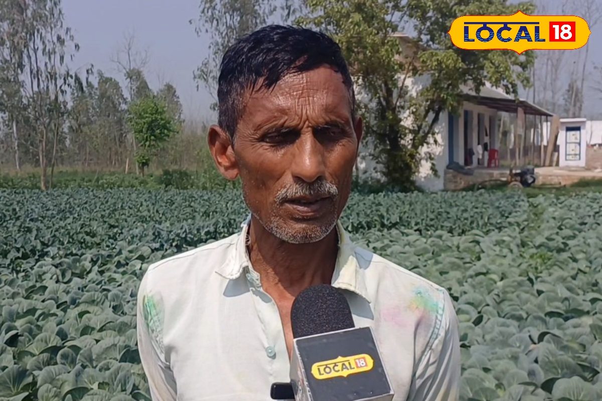 लागत 5 हजार, कमाई 60 हजार, इस खास किस्म की फूलगोभी से मालामाल बना किसान, गर्मियों में देती है बंपर पैदावार