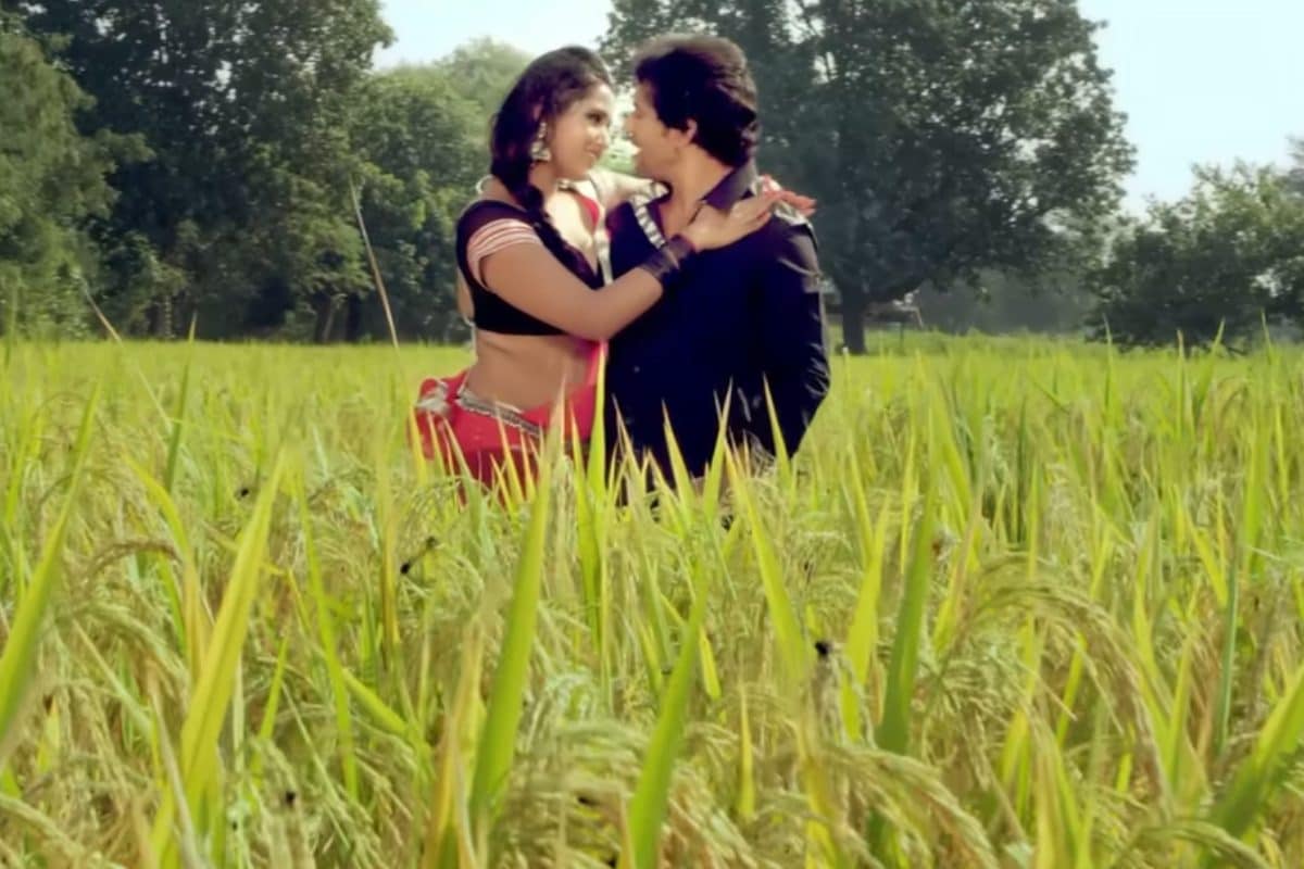 काजल राघवानी संग गेहूं के खेत में निरहुआ ने किया रोमांस, बना हिट रोमांटिक गाना, मिले 95 मिलियन से ज्यादा व्यूज