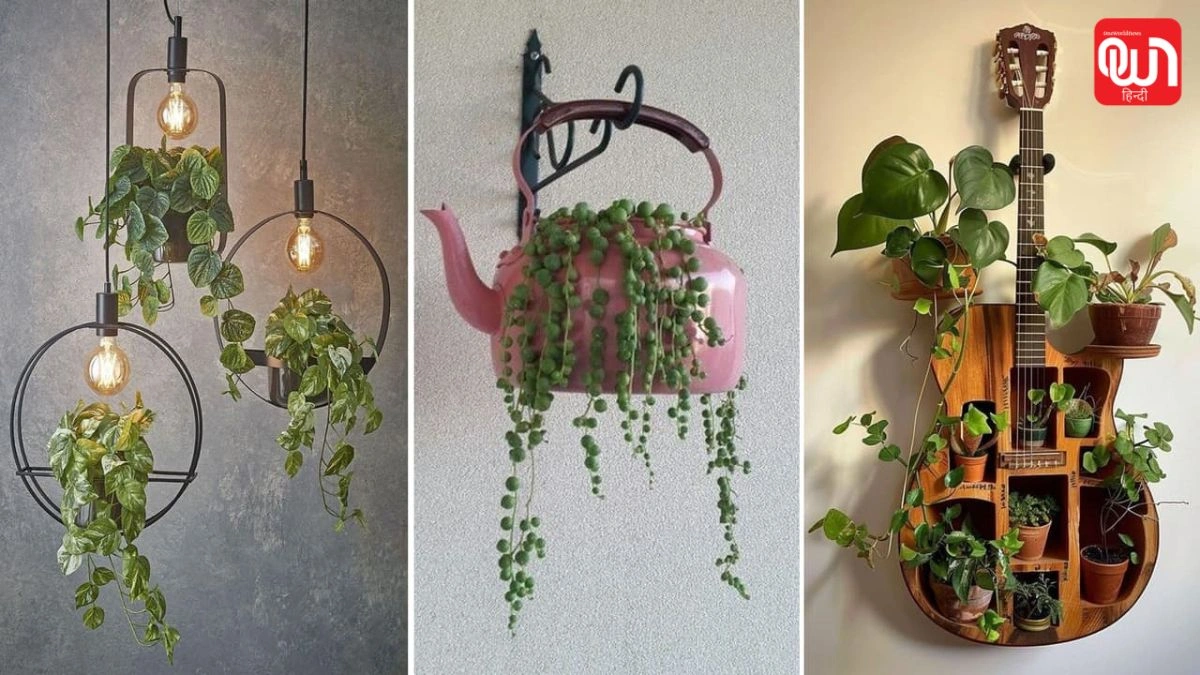 Modern Hanging Planters Ideas: कम स्पेस में ग्रीन डेकोर, लगाएं ये 5 वॉल हैंगिंग प्लांटर्स