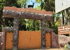 संजय वन वाटिका के अस्तित्व पर संकट : विभाग ने वन प्रबंधन समिति को किया संचालन से अलग