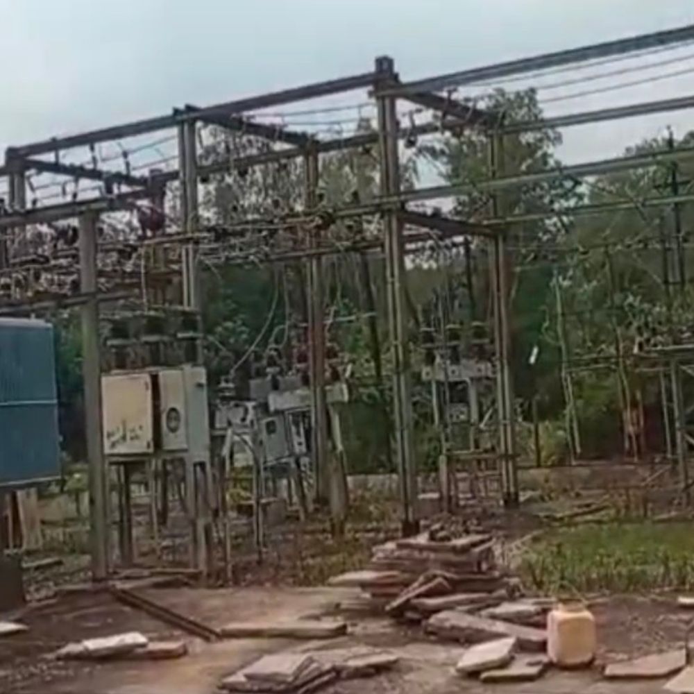 सीधी के रामपुर नैकिन में हाथियों की दस्तक:13 गांवों की बिजली बंद; प्रशासन ने सतर्क रहने की अपील