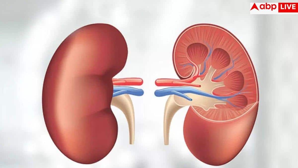 Kidney Disease Symptoms: क्या ठीक से काम कर रही है आपकी किडनी, घर में ही ऐसे कर सकते हैं चेक?