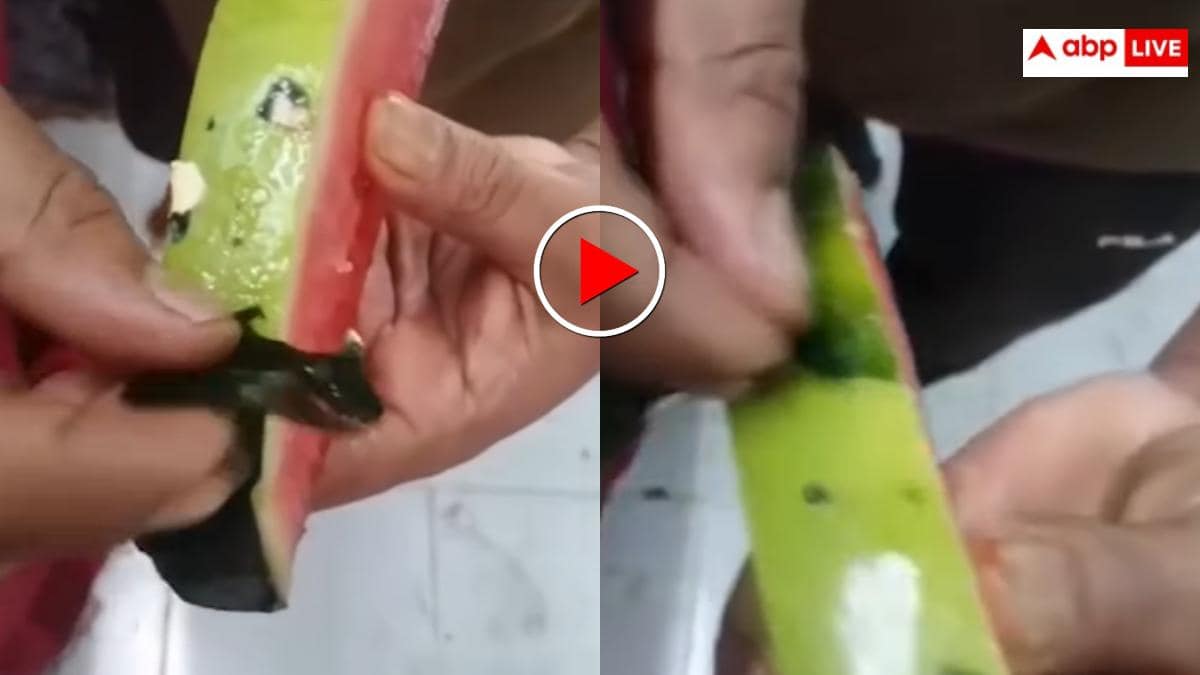 "गजब फ्रॉड चल रहा है" रमजान में लोगों की सेहत से खिलवाड़, बाजार में बिक रहे फर्जी तरबूज, वायरल वीडियो ने उड़ाए होश