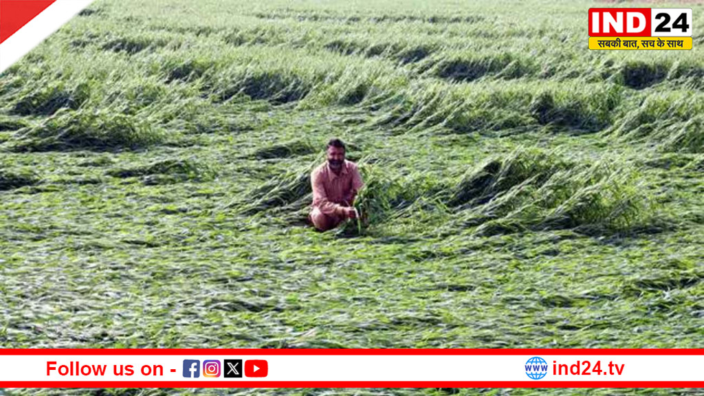 बेमौसम बारिश और ओलावृष्टि का कहर: यूपी में वज्रपात से 10 मौतें, कई राज्यों में फसलें बर्बाद