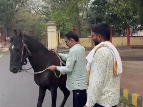 अनंत सिंह ने अपने पसंदीदे घोड़े का थामा लगाम:काले रंग का चश्मा पहनकर काले घोड़े को काबू करते दिखे बाहुबली, समर्थकों ने बनाया VIDEO