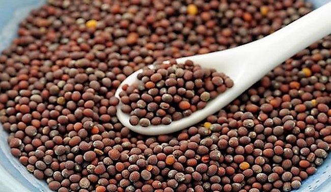 मप्र में आज से सरसों की खरीद शुरू! भावांतर योजना से किसानों को मिलेगा MSP का लाभ