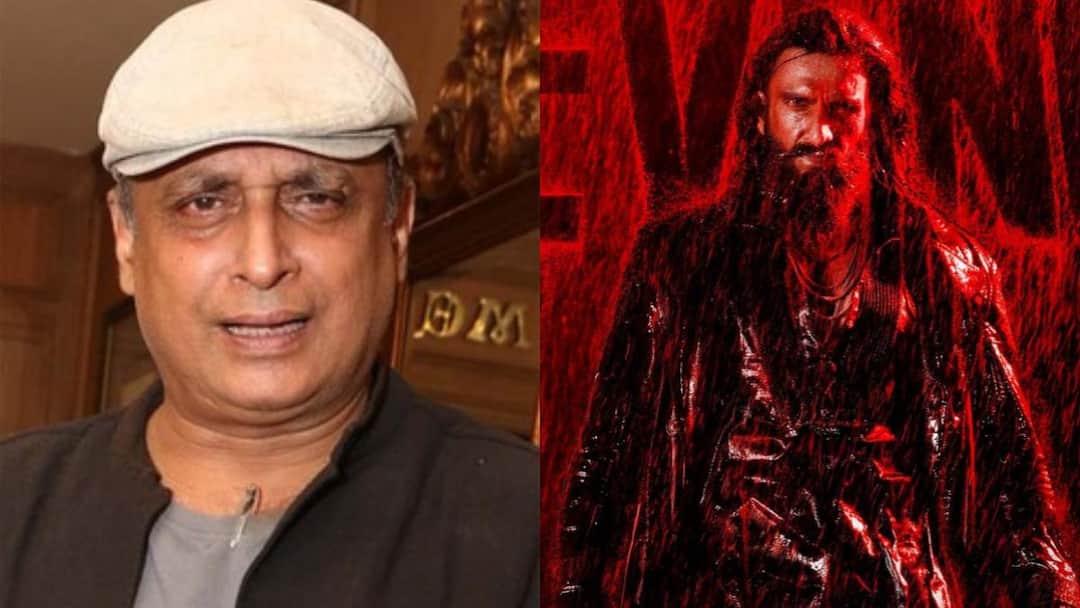 पीयूष मिश्रा ने 'धुरंधर' को प्रोपेगेंडा फिल्म बताने पर जताई आपत्ति, बोले- 'ये ही असली सिनेमा है'