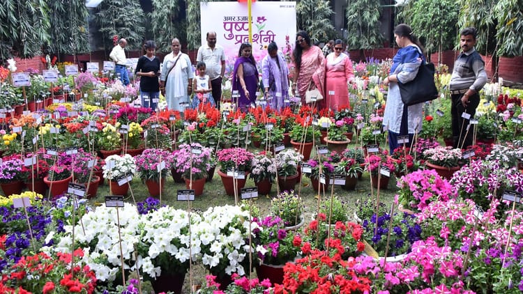अमर उजाला पुष्प प्रदर्शनी: बरेली में रंग-बिरंगे फूलों को देख गदगद हुए लोग, आज होगी विजेताओं की घोषणा