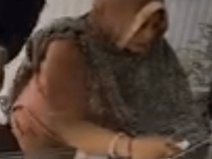 मुरादाबाद में ज्वेलरी दुकान से महिला ने की चोरी, VIDEO:दो युवकों के साथ आई महिला ने ज्वेलरी शॉप से चुराई पाजेब, पुलिस तलाश में जुटी