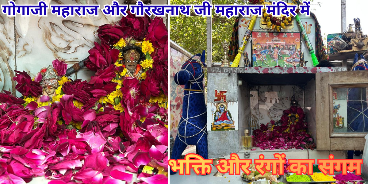 जयपुर: गोगाजी महाराज और गौरखनाथ जी महाराज मंदिर में फागोत्सव की रंगारंग धूम