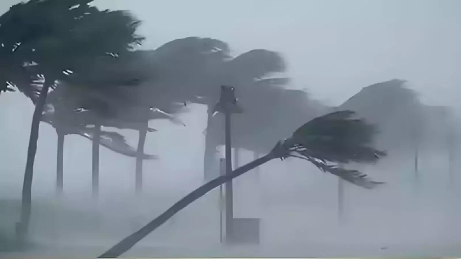 कल का मौसम 1 मार्च: उत्तर-पश्चिम भारत में बढ़ेगी गर्मी, होली पर बारिश के साथ तेज हवा बढ़ाएगी टेंशन; IMD का अलर्ट