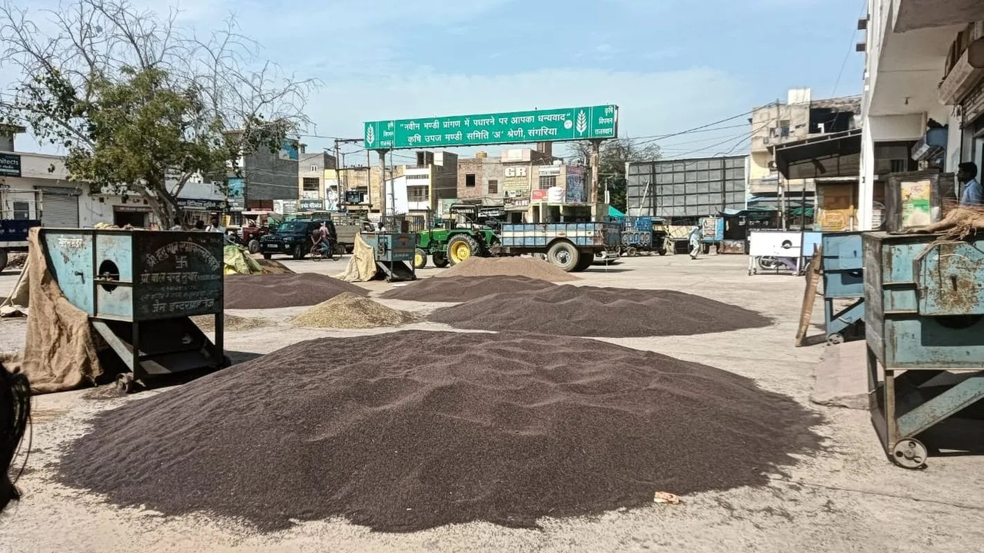बाजार भाव उठने की उम्मीद, मंडी में फसल लाने से बच रहे किसान