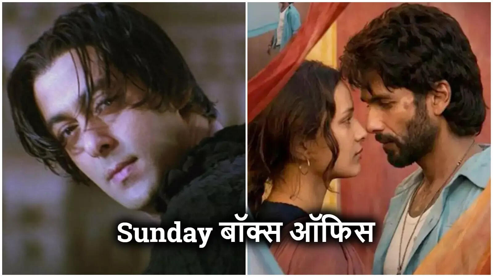 Sunday Box Office: 'ओ रोम‍ियो' ने दिखाए 101 Cr वाले तेवर, Tere Naam ने 'बॉर्डर 2', 'मर्दानी 3' को पछाड़ा