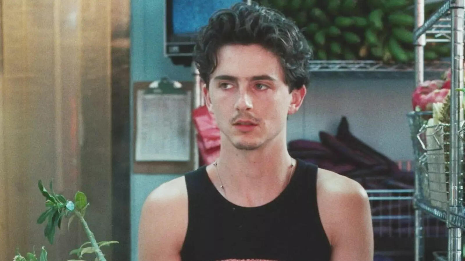 Timothée Chalamet ने मार ली पैर पर कल्‍हाड़ी! बयान पर विवाद, Oscars 2026 में नहीं मिलेगा अवॉर्ड: रिपोर्ट