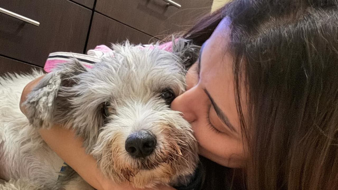 42 साल की इस एक्ट्रेस ने क्यों नहीं की शादी, टूटी एक सगाई, अब थलापति विजय से जुड़ रहा नाम!