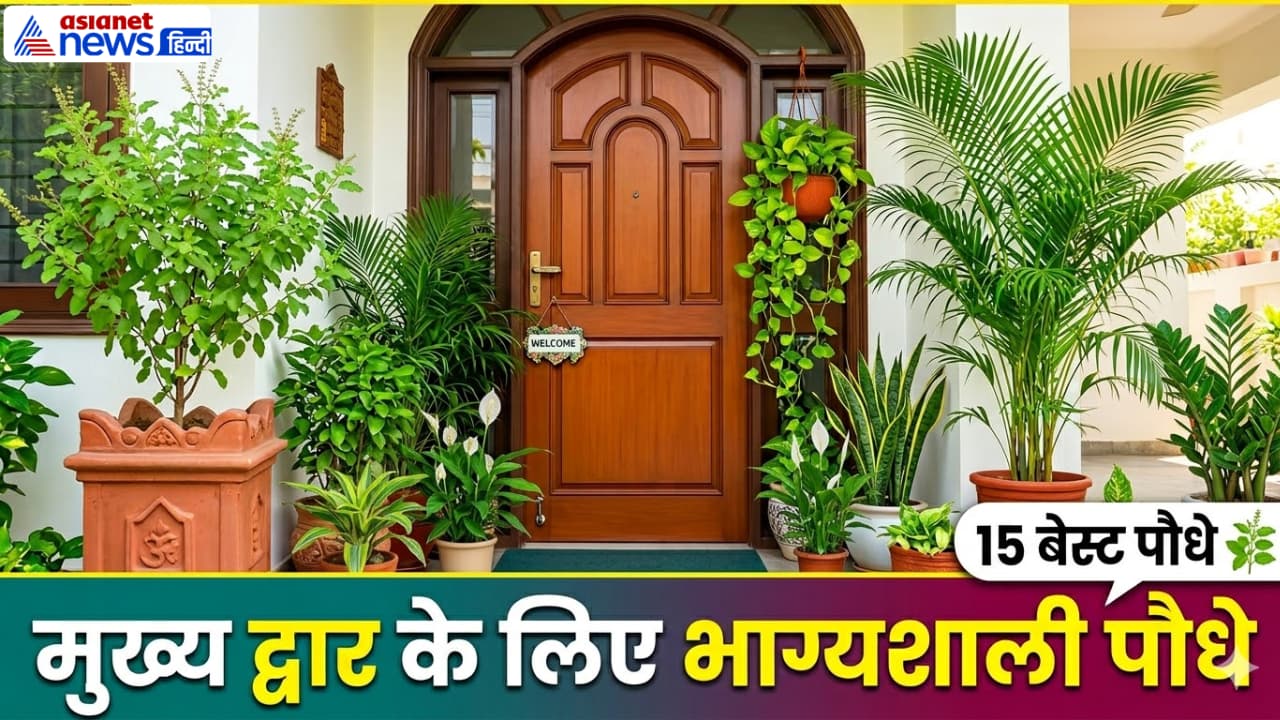 15 Best Entrance Plants For Home: खिंची चली आएगी बरकत और समृद्धि ! मेन डोर पर लगाएं 15 पौधे