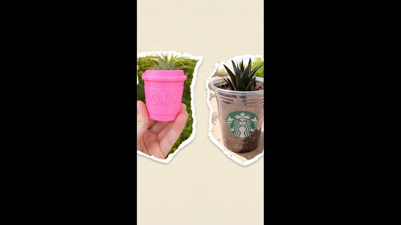 चाय-कॉफी के पुराने प्लास्टिक कप से बनाएं 7 डेकोरेटिव शो प्लांटर