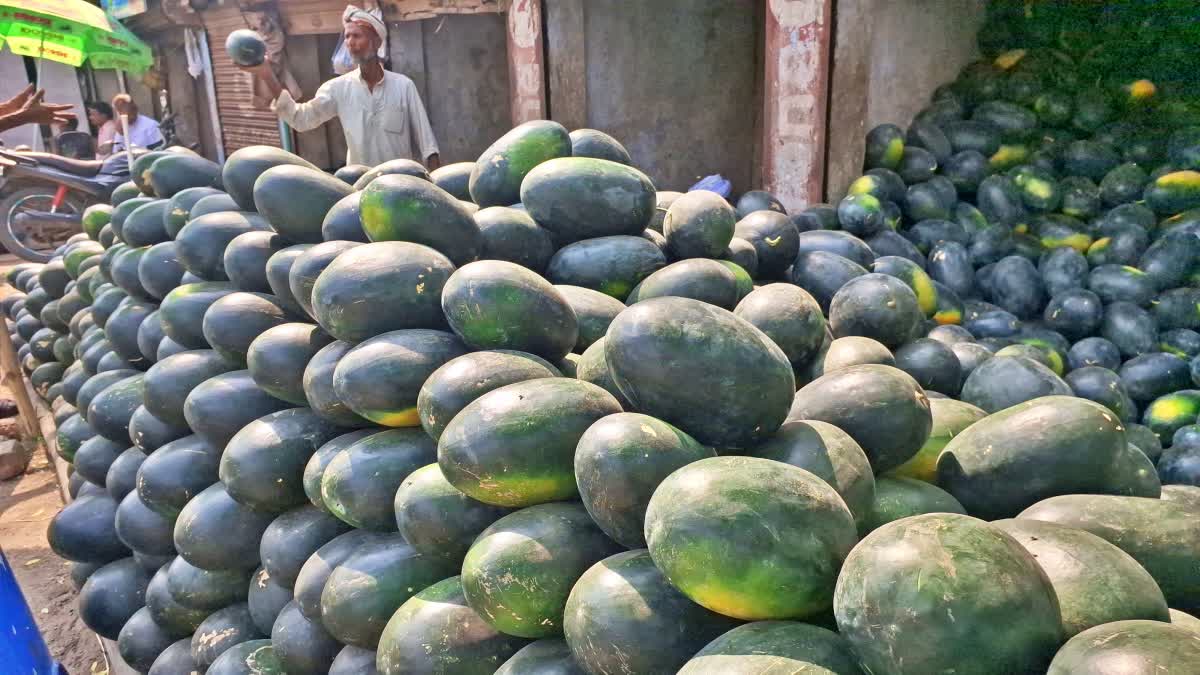 WATERMELON IN PALAMU