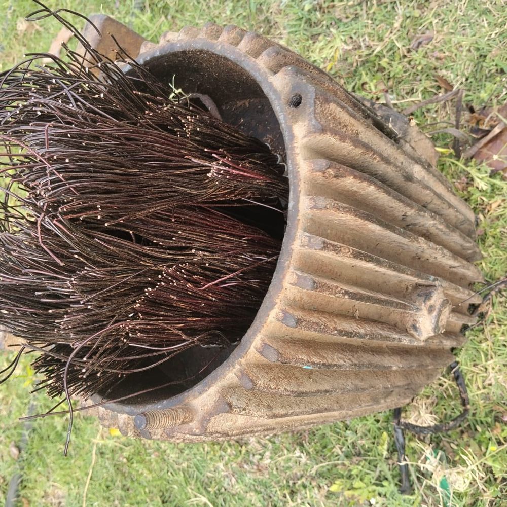 मोहिपुरा में 7 किसानों की मोटर से कॉपर तार चोरी:सिंचाई के लिए नदी पर लगी थीं, फसलों को पानी का संकट