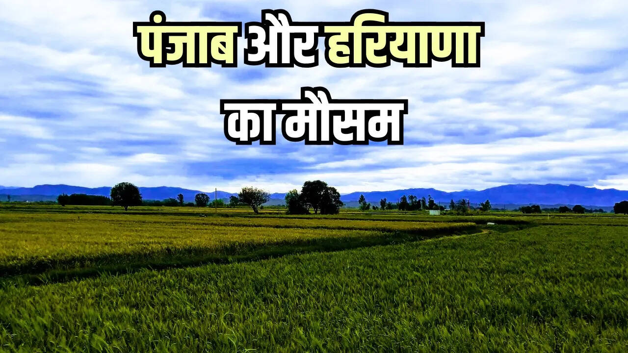 Punjab Haryana Weather Today: पंजाब-हरियाणा में अचानक बदला मौसम का रुख; तेज हवाओं और बारिश-ओलावृष्टि को लेकर ऑरेंज अलर्ट जारी