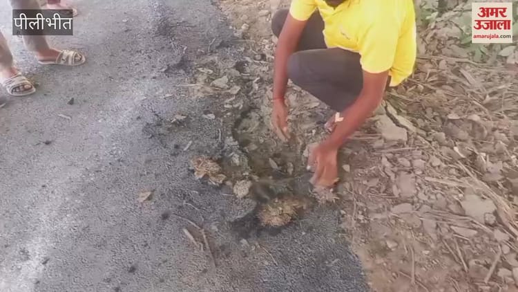 Pilibhit: मानक विहीन कार्य भड़के ग्रामीण, 50 मीटर तक सड़क उखाड़ी