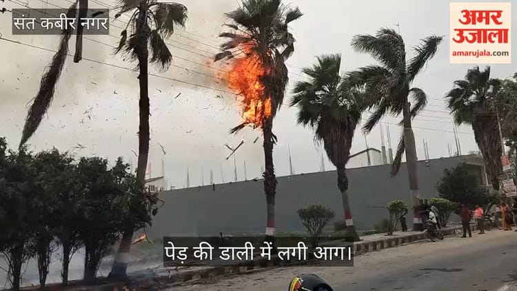 स्पार्किंग की वजह से पेड़ में लगी आग, डाली काटकर की गई अलग