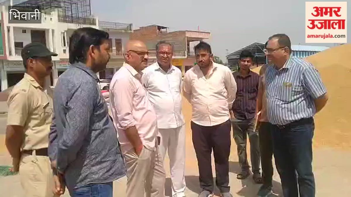 भिवानी के ढिगावा मंडी में लोहारू एसडीएम ने लिया फसल खरीद का जायजा