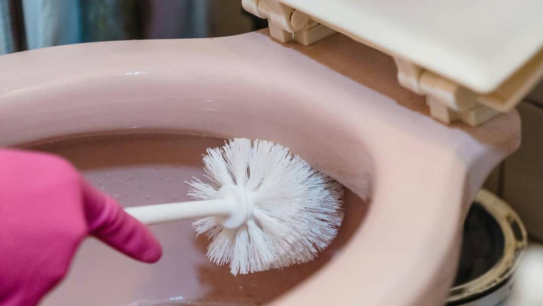 Yellow Toilet Seat: रोज सफाई के बाद भी पीली पड़ रही है टॉयलेट सीट? गंदगी नहीं ये है असली वजह, ऐसे करें साफ