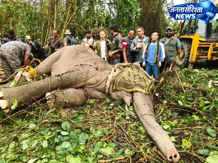 Arunachal: मौतों के लिए ज़िम्मेदार बदमाश हाथियों को पकड़ा गया