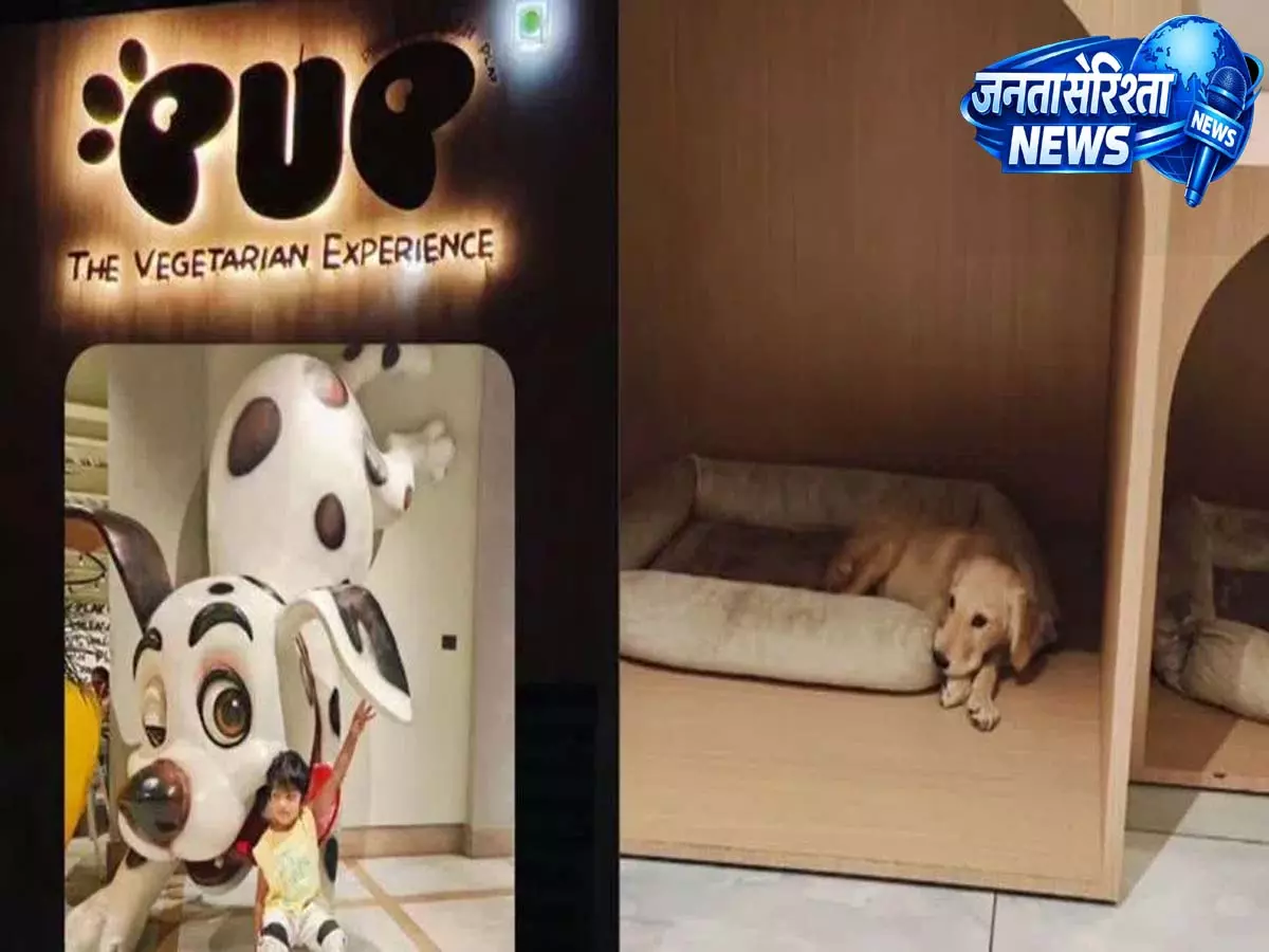 Hyderabad के इन कैफ़े में अपने पालतू जानवर के साथ बाहर निकलें