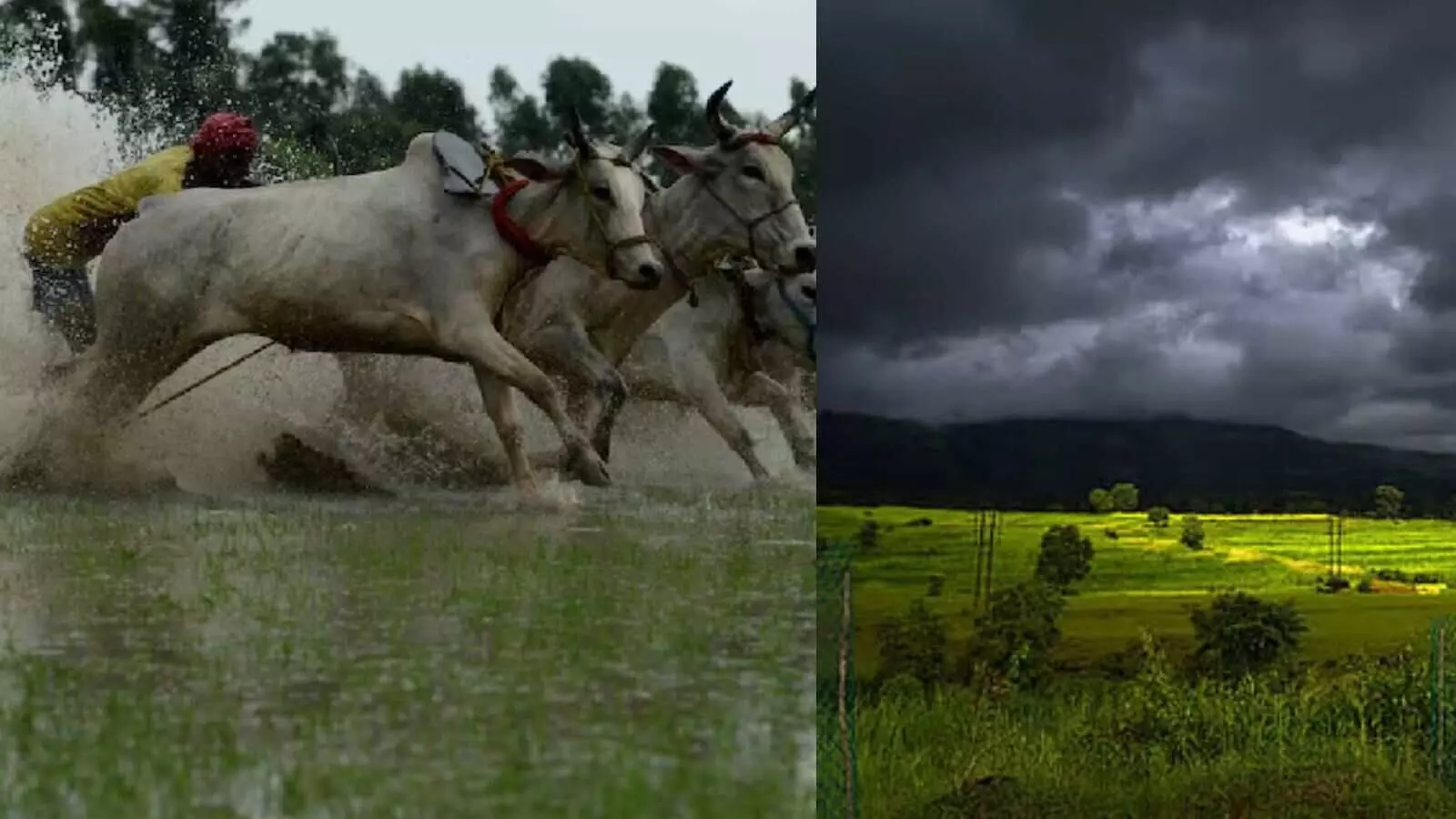 इस साल कम बरसेंगे बादल, स्काइमेट का मानसून पूर्वानुमान