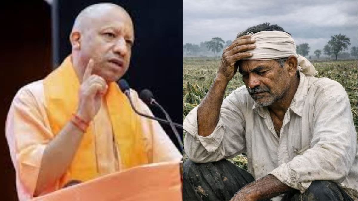 फसल नुकसान पर एक्शन मोड में योगी सरकार, 24 घंटे में मुआवजा देने का निर्देश